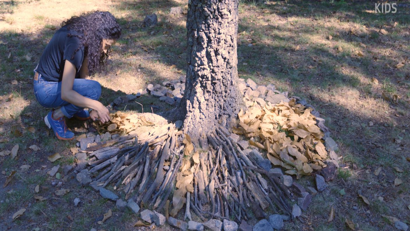 4_LandArt_Scultura&NaturaG1.00_02_23_02.Still004.jpg