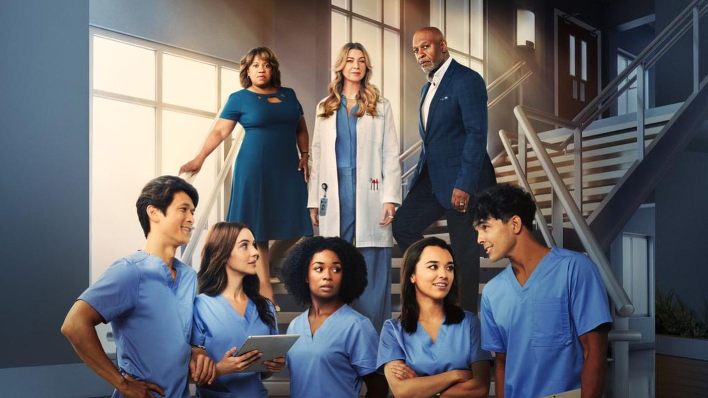 Grey's Anatomy 19