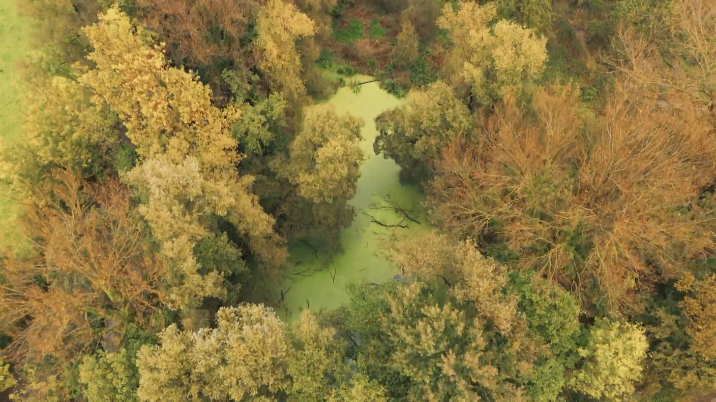 Il parco del  Laveggio