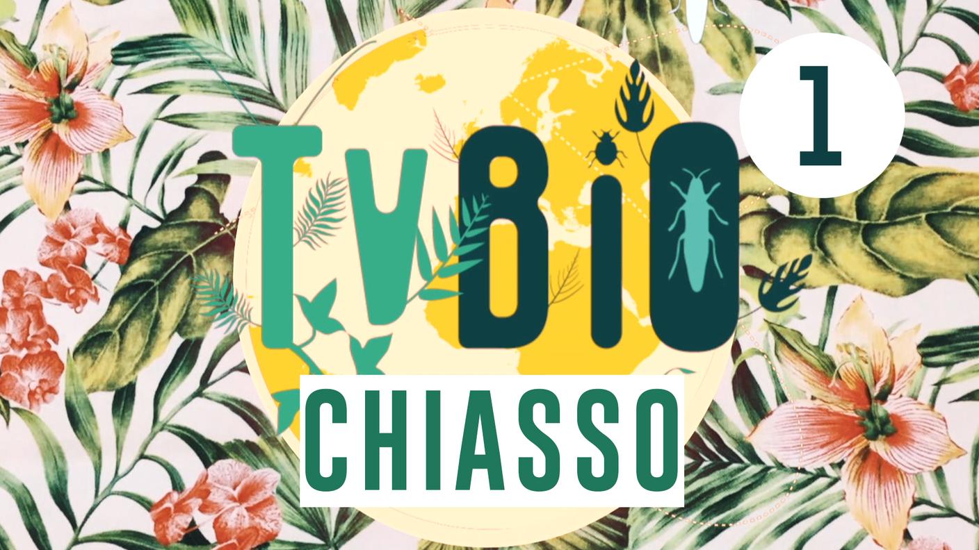 TVBio Chiasso
