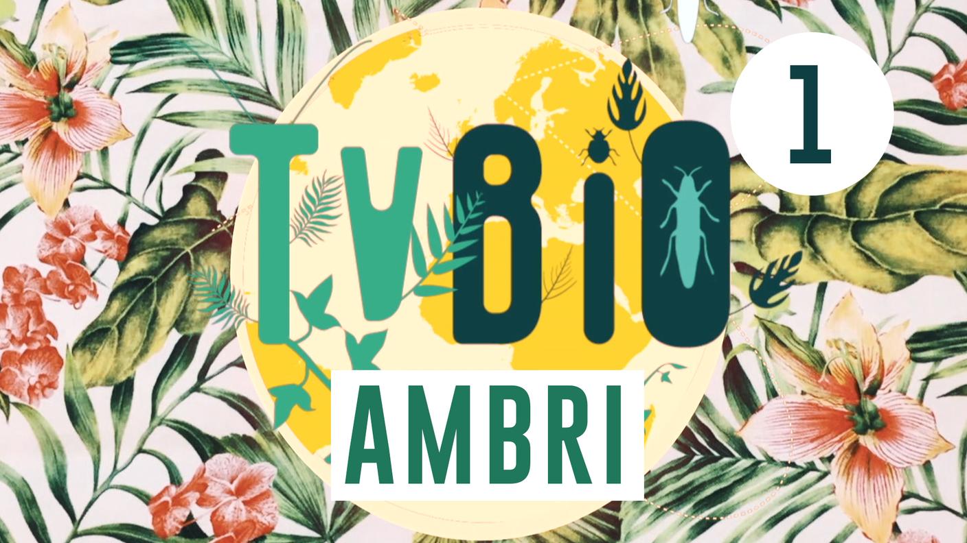 TVBio Ambrì 