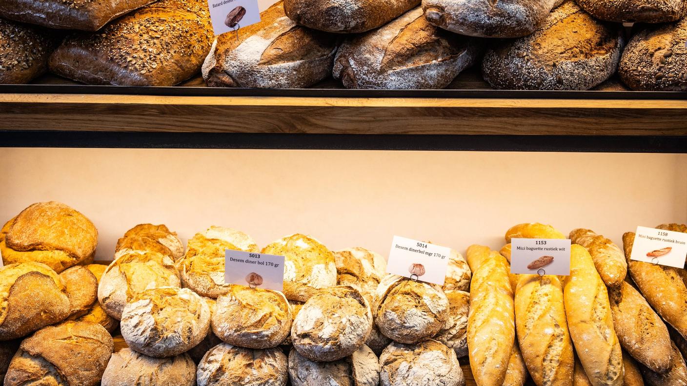 Pane