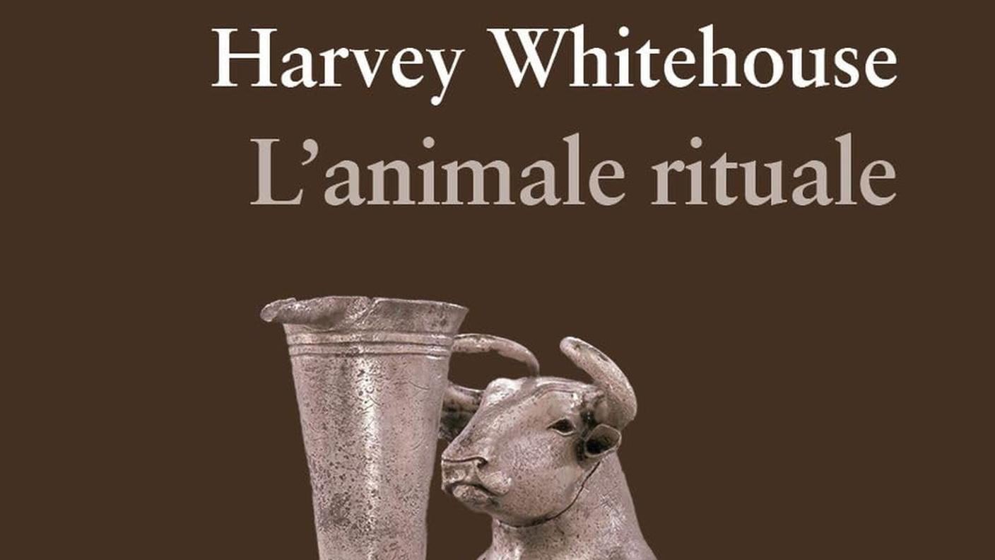 "L’animale rituale" di Harvey Whitehouse, Castelvecchi Editore (copertine)