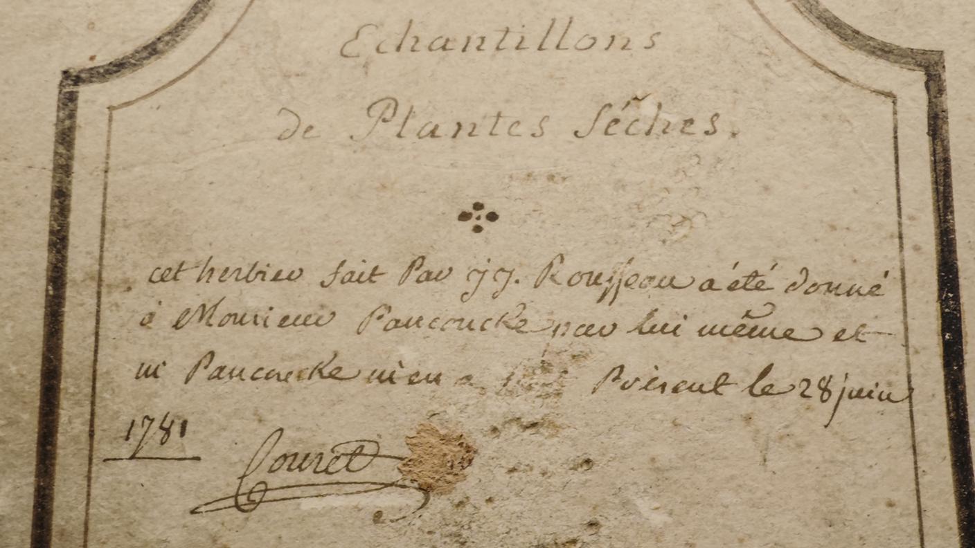 Herbier Rousseau