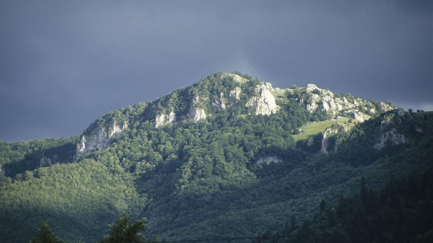 Arco alpino