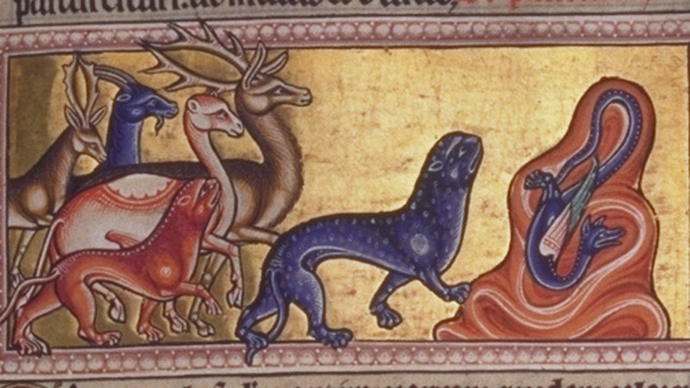 Bestiario di Aberdeen, Folio 9 recto, Pantera