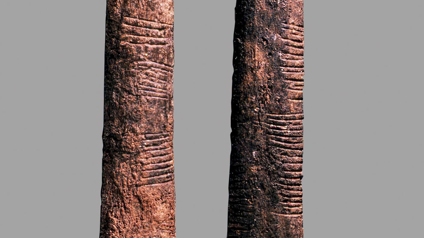 Ossa di Ishango, forse il più antico artefatto matematico. Scoperta in Congo, Africa. L'osso è una fibula di mammifero (dettaglio immagine). 