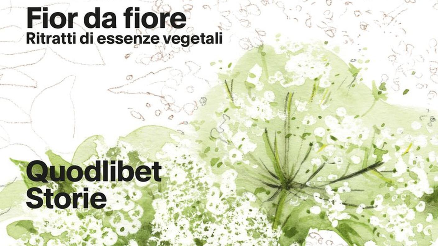 "Fior da fiore" di Angela Borghesi, Quodlibet (dettaglio di copertina)