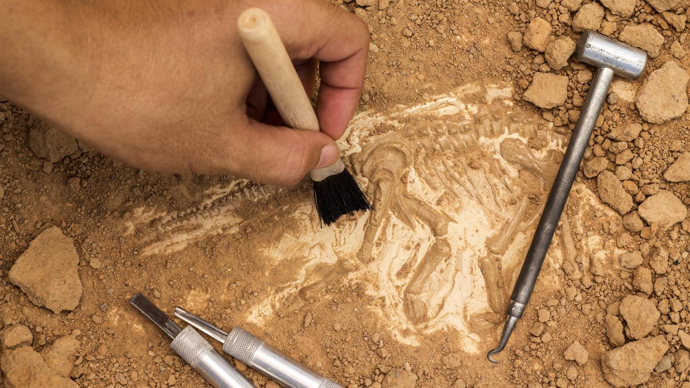 Quando il dinosauro è una bufala