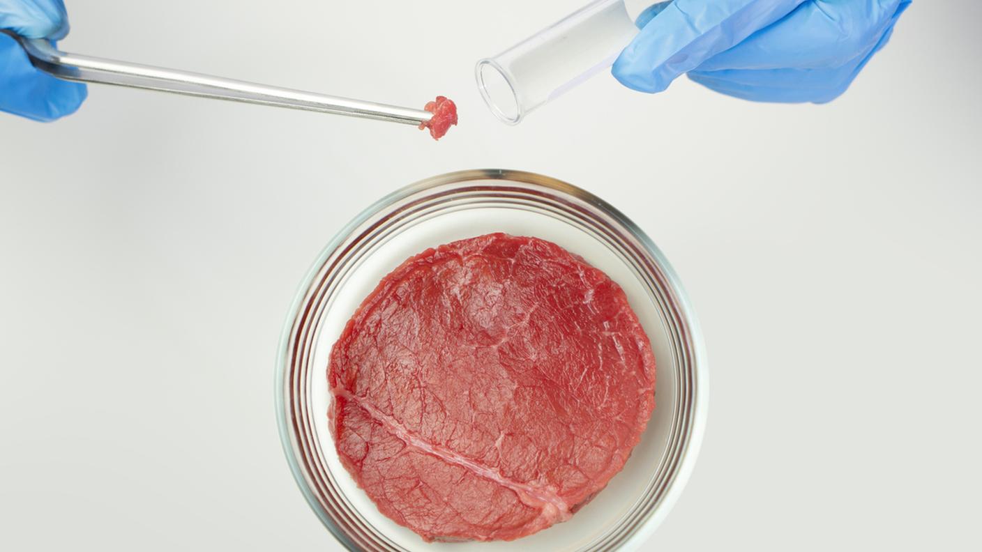 Carne coltivata