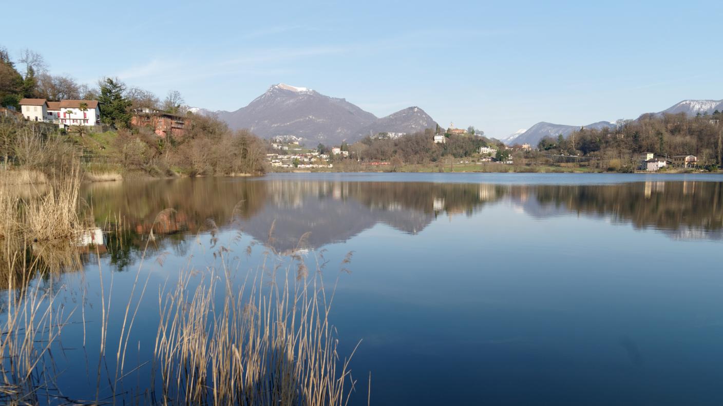 Lago di Muzzano.jpg