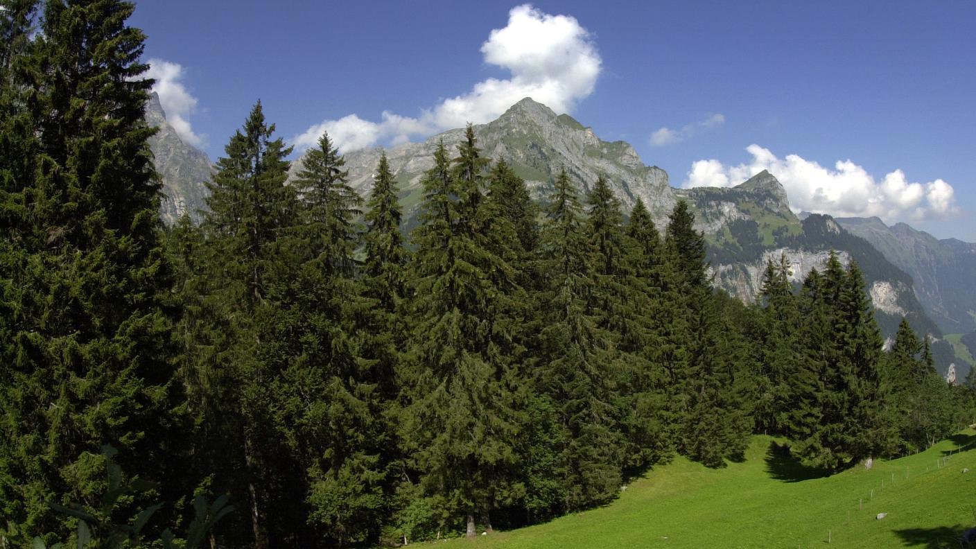 Engelberg (OW) alpe di Gerschnialp