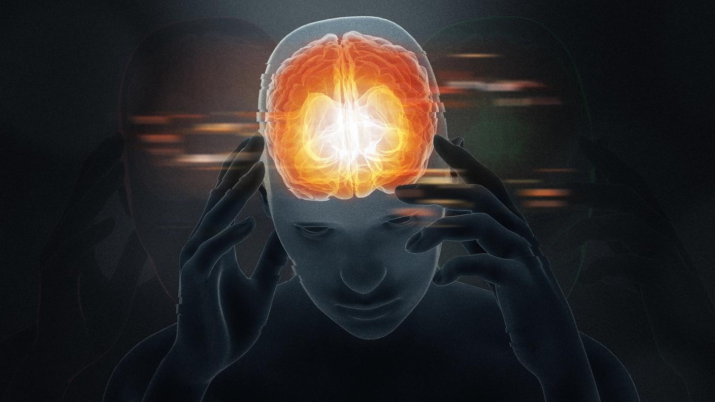 cervello umano funzioni