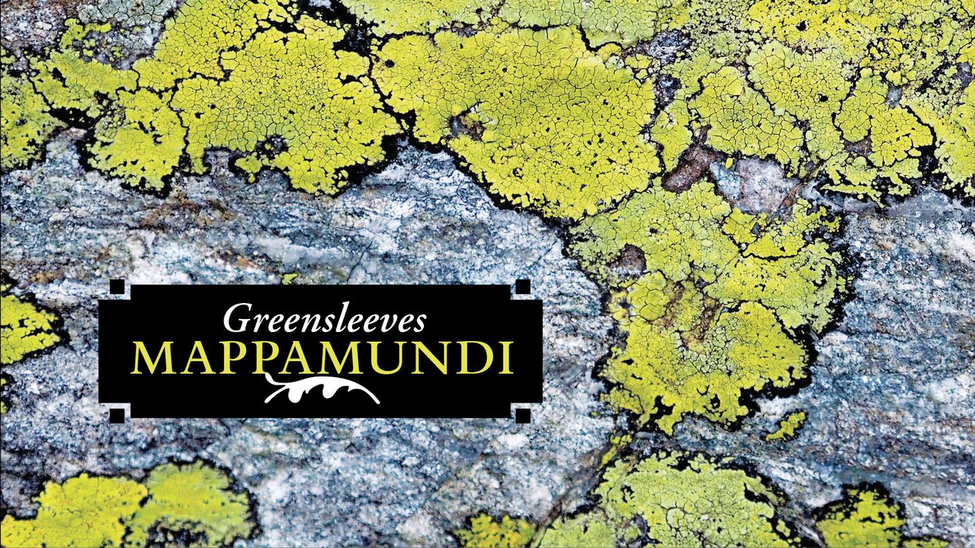 "Mappamundi" di Greensleeves, Autoproduzione (dettaglio di copertina)