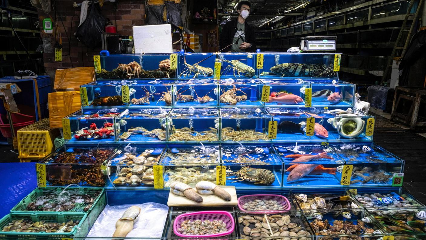 Il wet market di Wuhan.