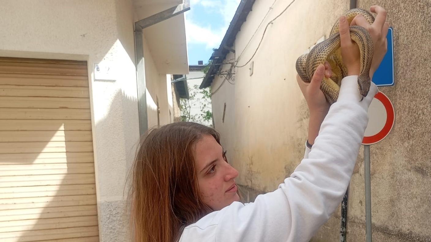 La giovane serpara Martina Marinelli in una foto di Andrea Cocco