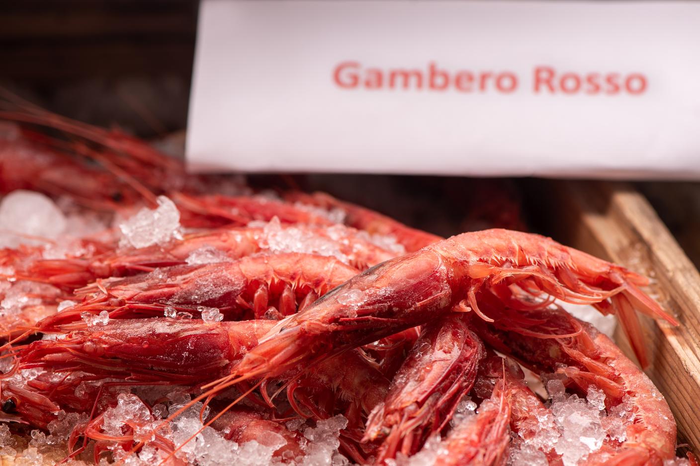 Una stima prudente dell’indotto legato al “brand” gambero rosso di Mazara può collocarsi tra 80 e 150 milioni di euro annui