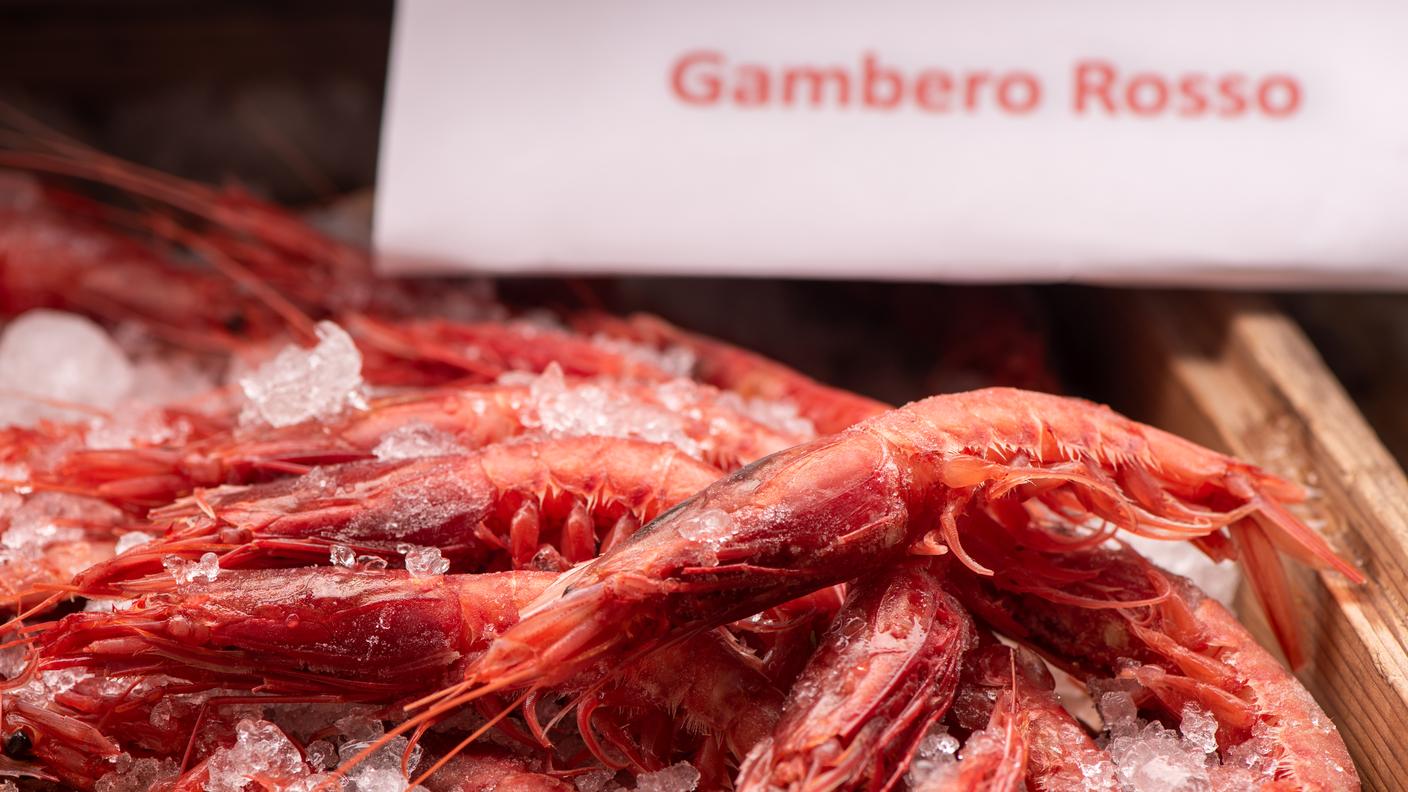 Una stima prudente dell’indotto legato al “brand” gambero rosso di Mazara può collocarsi tra 80 e 150 milioni di euro annui