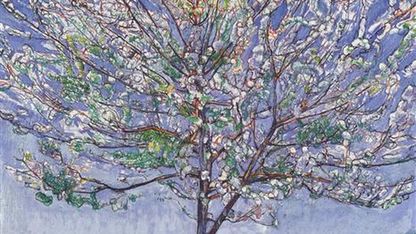 Ferdinand Hodler (1889–1891), "Ciliegio in fiore", 1905 (dettaglio dipinto)