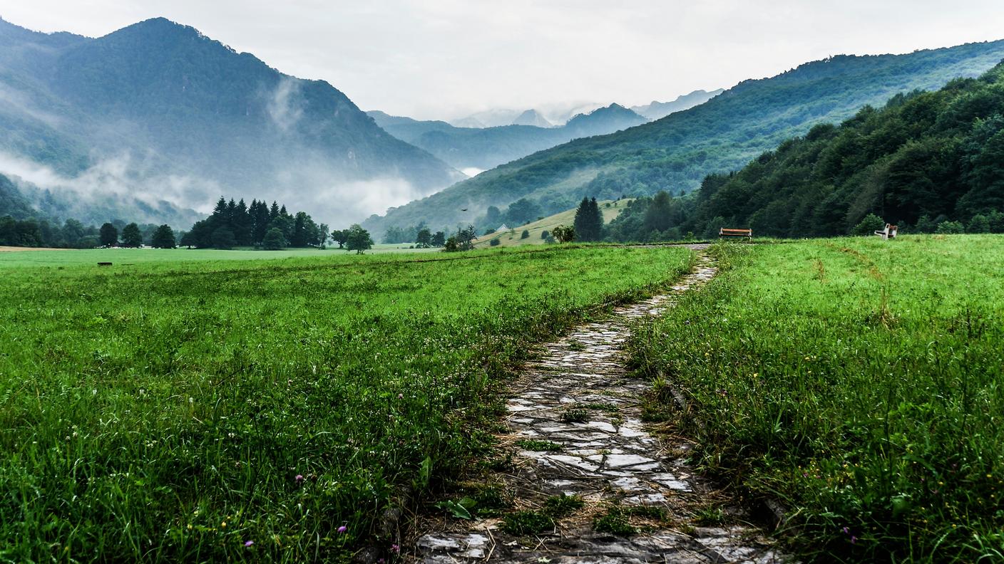 prato e montagne.jpg