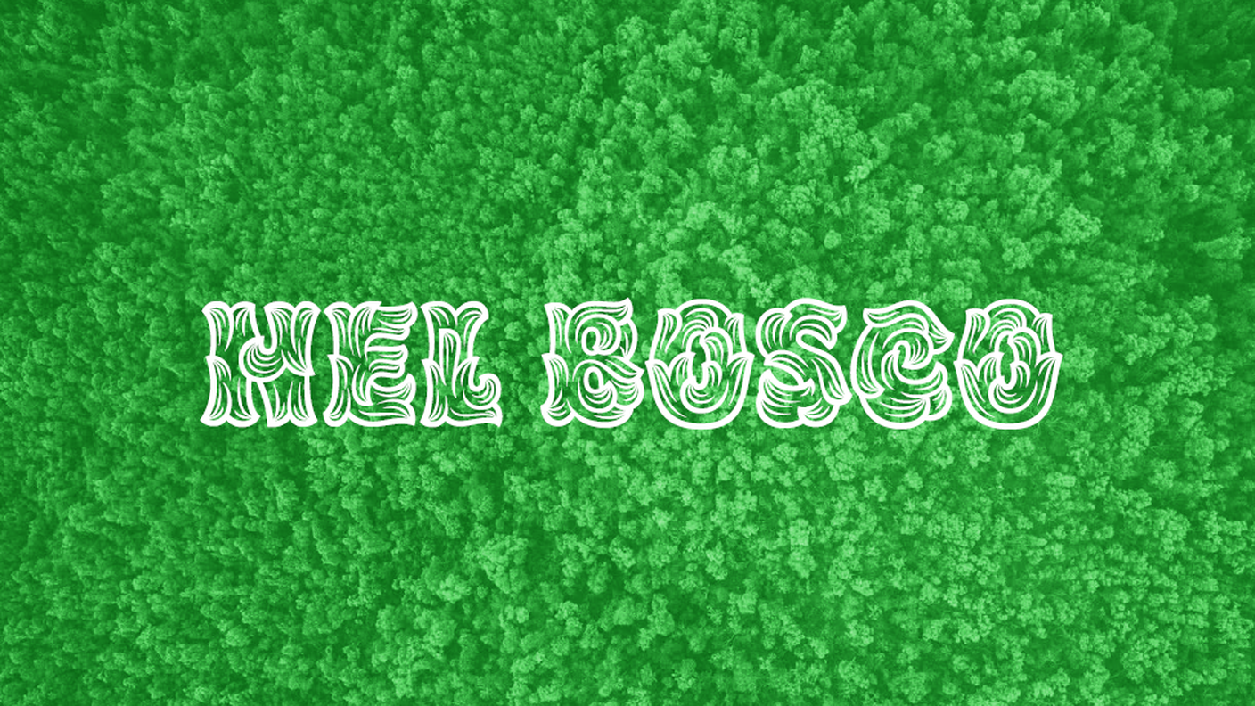  “Nel bosco” - Da giovedì 04 a domenica 07 maggio 2017, Rete Due è alla dodicesima edizione del Festival internazionale di letteratura