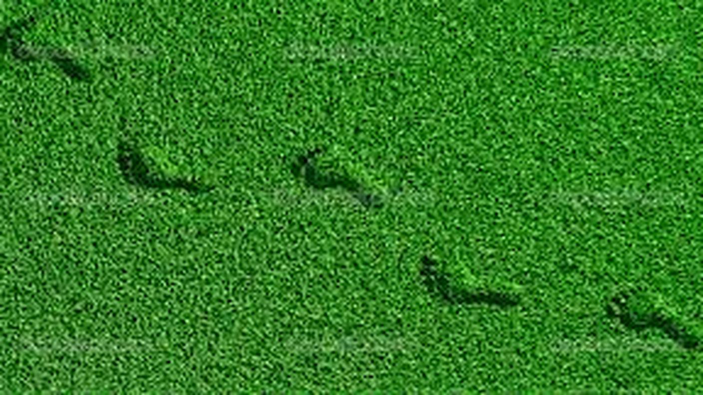 impronta verde