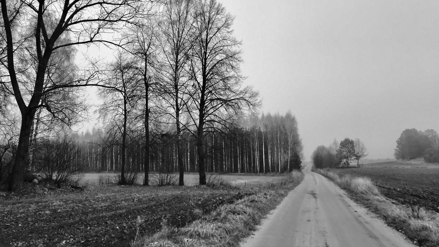 Boschi a ridosso della zona di emergenza a 3 km dal confine con la Bielorussia.jpg