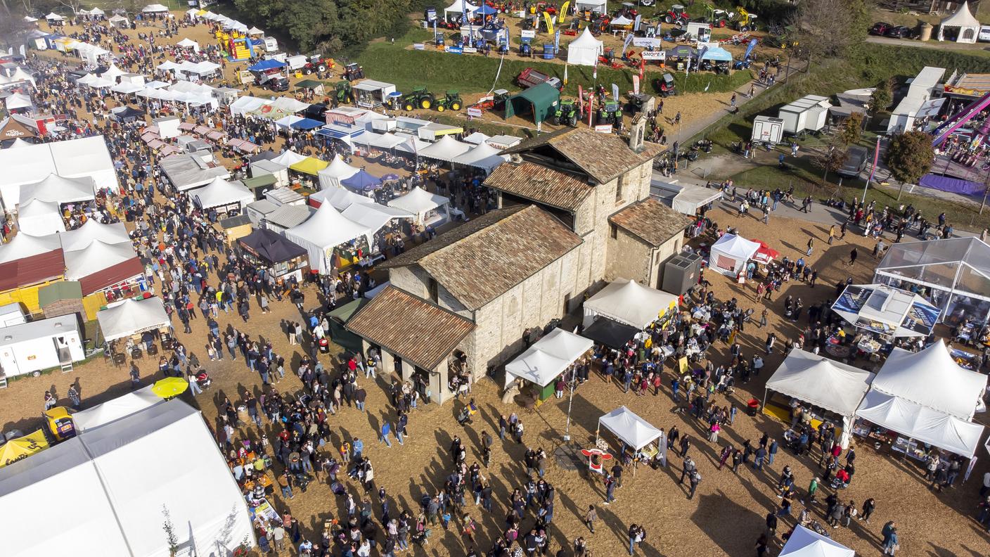 Fiera di San Martino