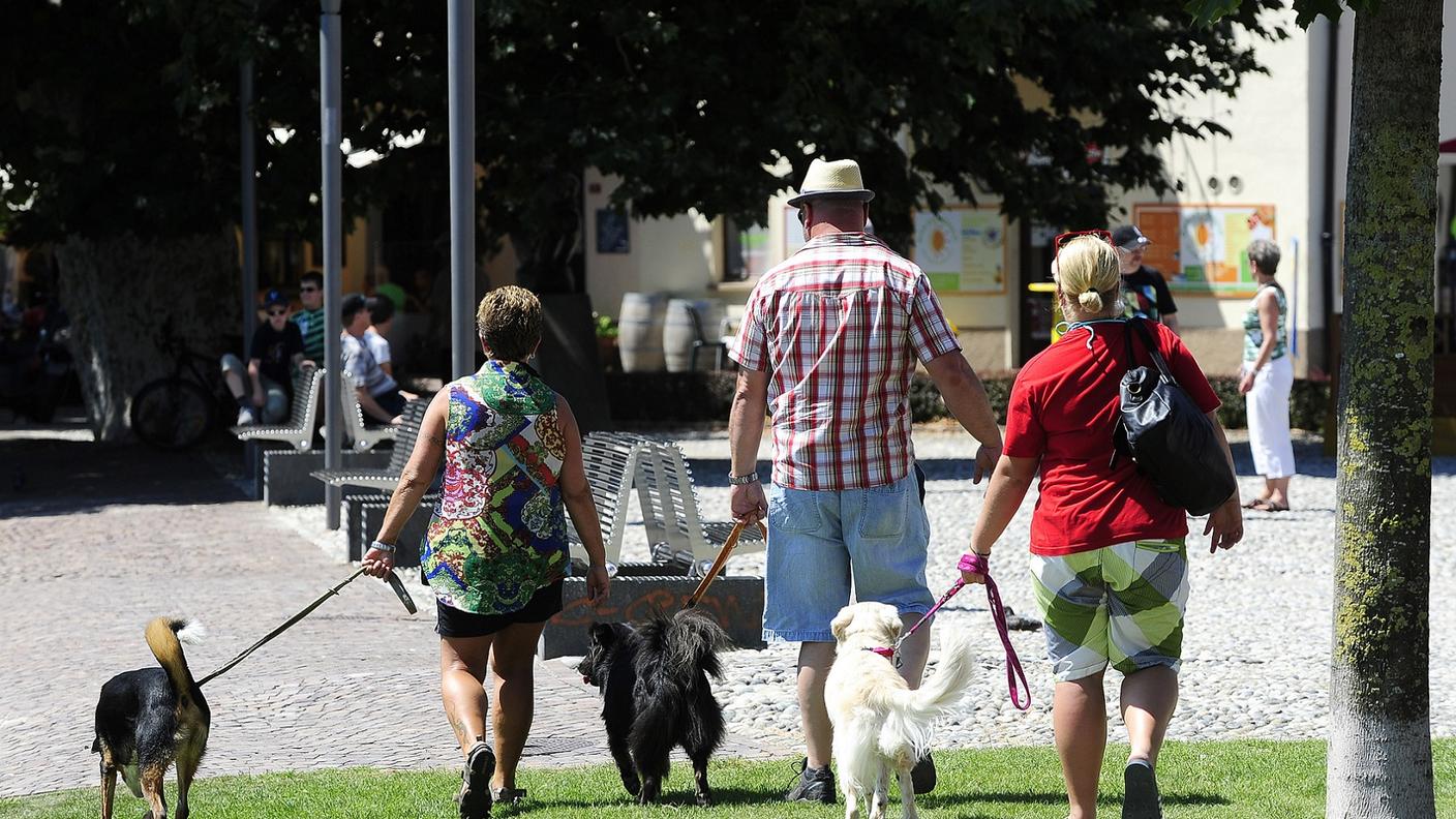 canni a passeggio