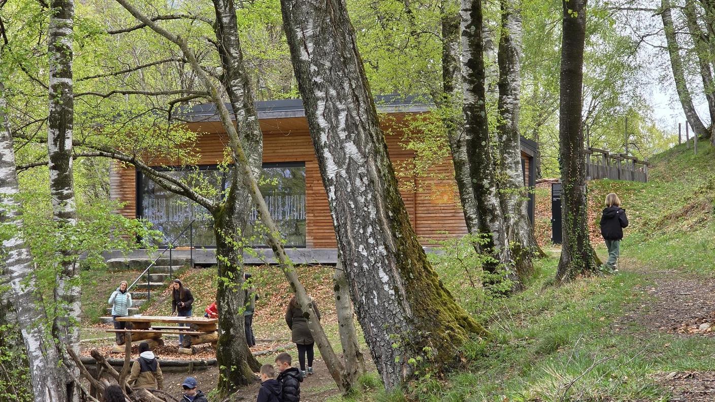 L'aula nel bosco