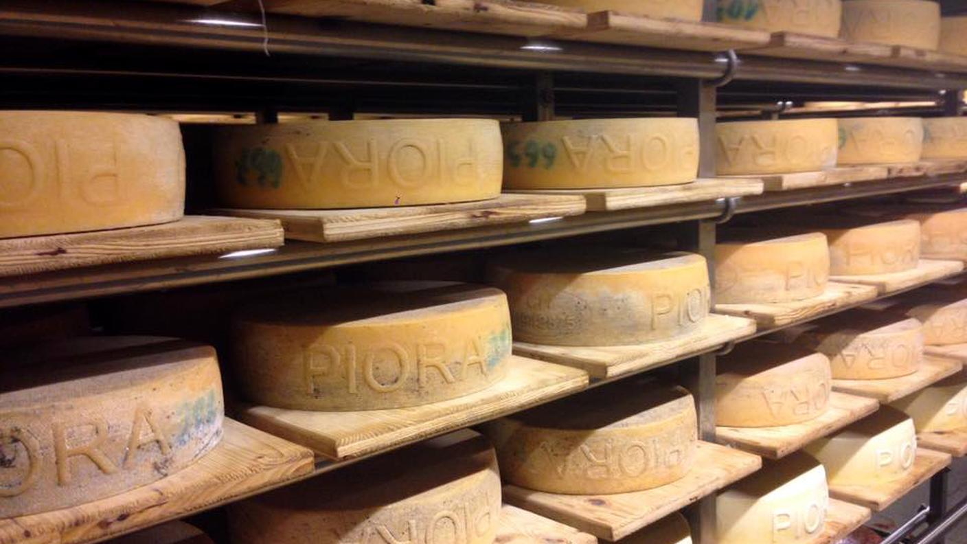 Formaggio Piora