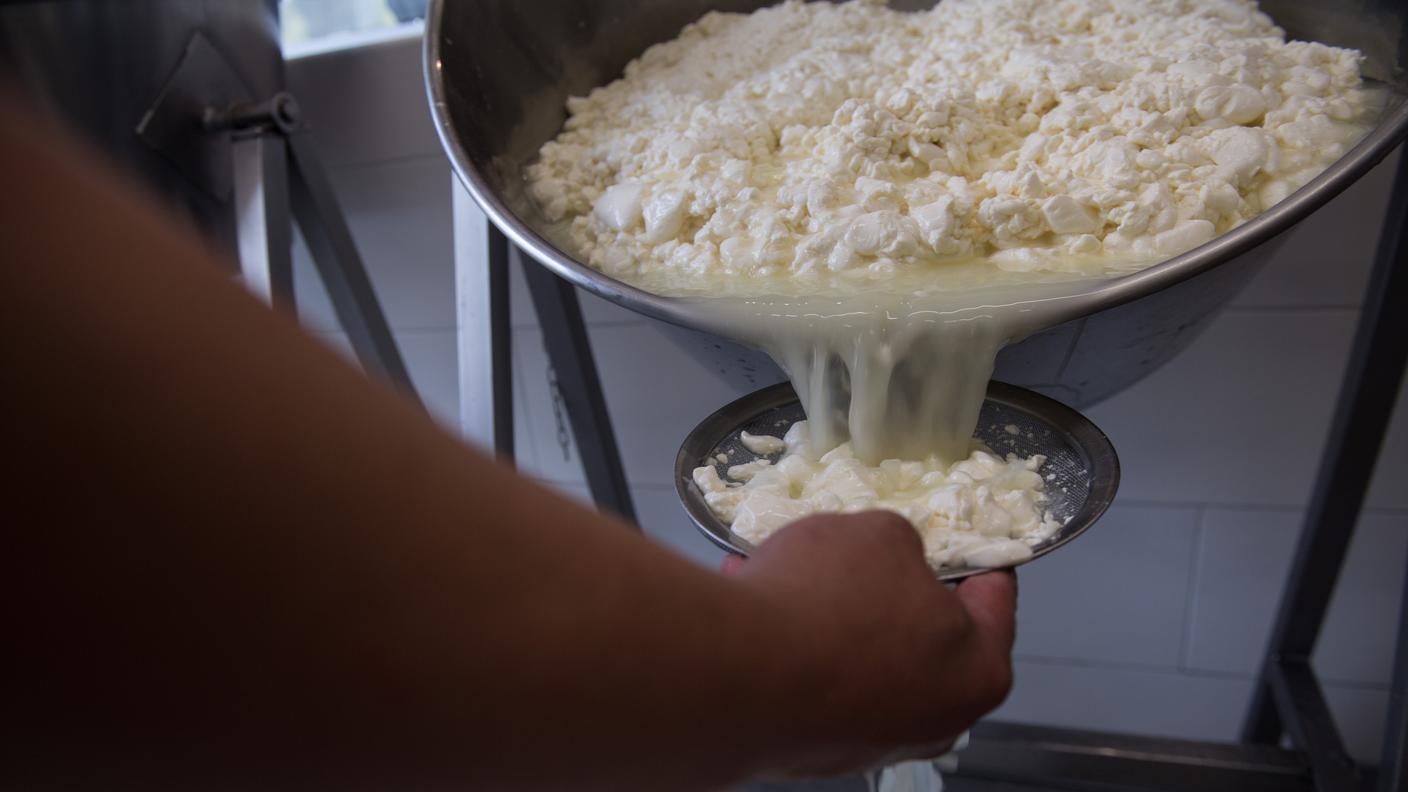 fasi di preparazione della mozzarella di Antonio Taccogna, titolare della Latteria del Borgo