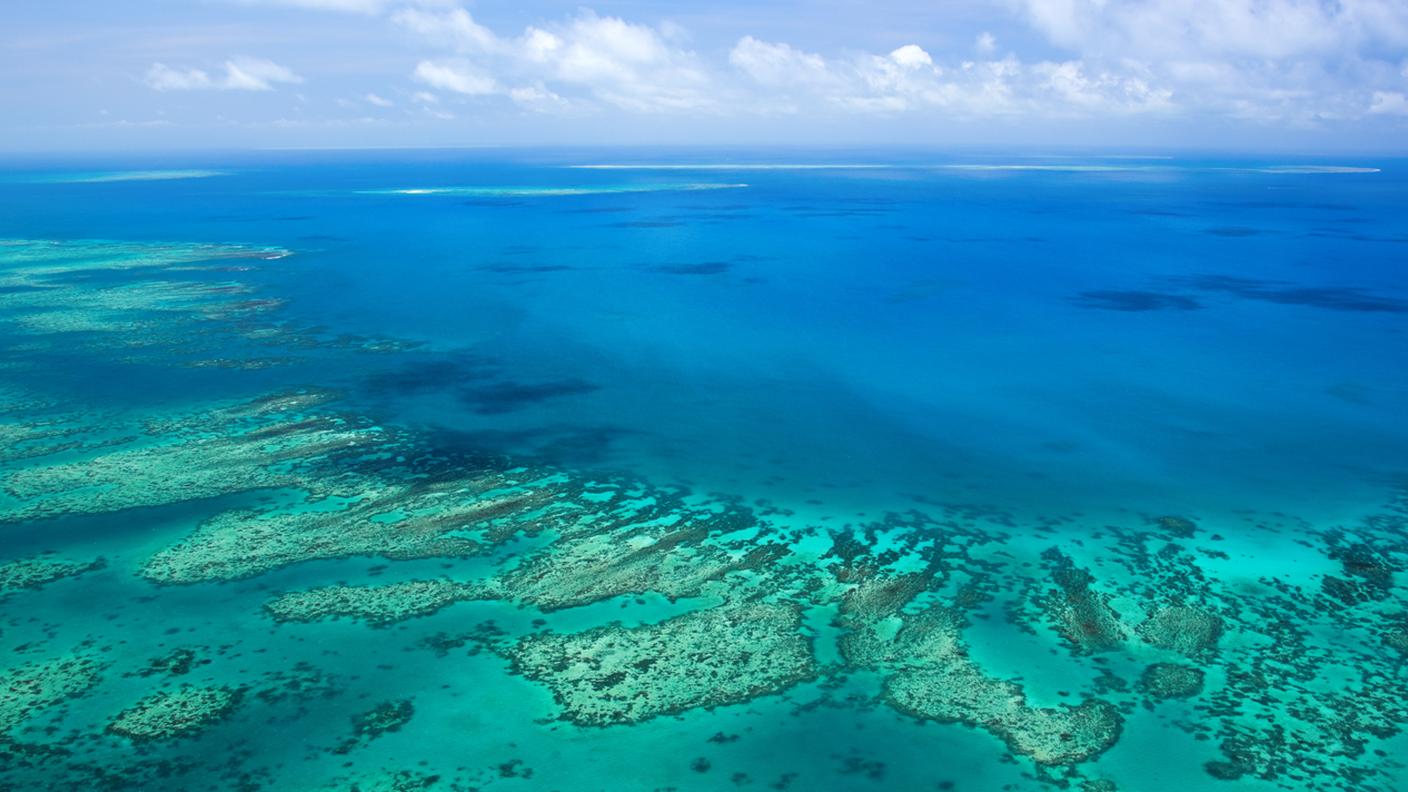 Cairns - Australia, barriera corallina