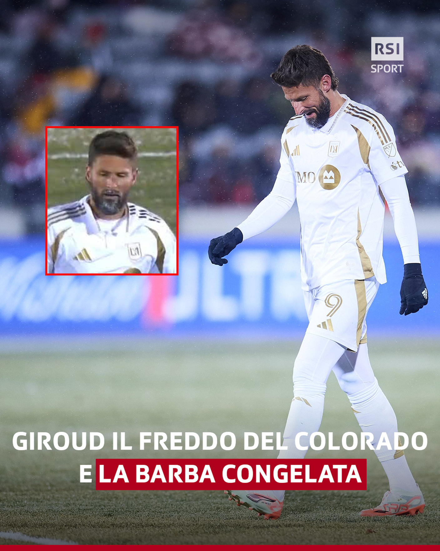 curiosità 5.png