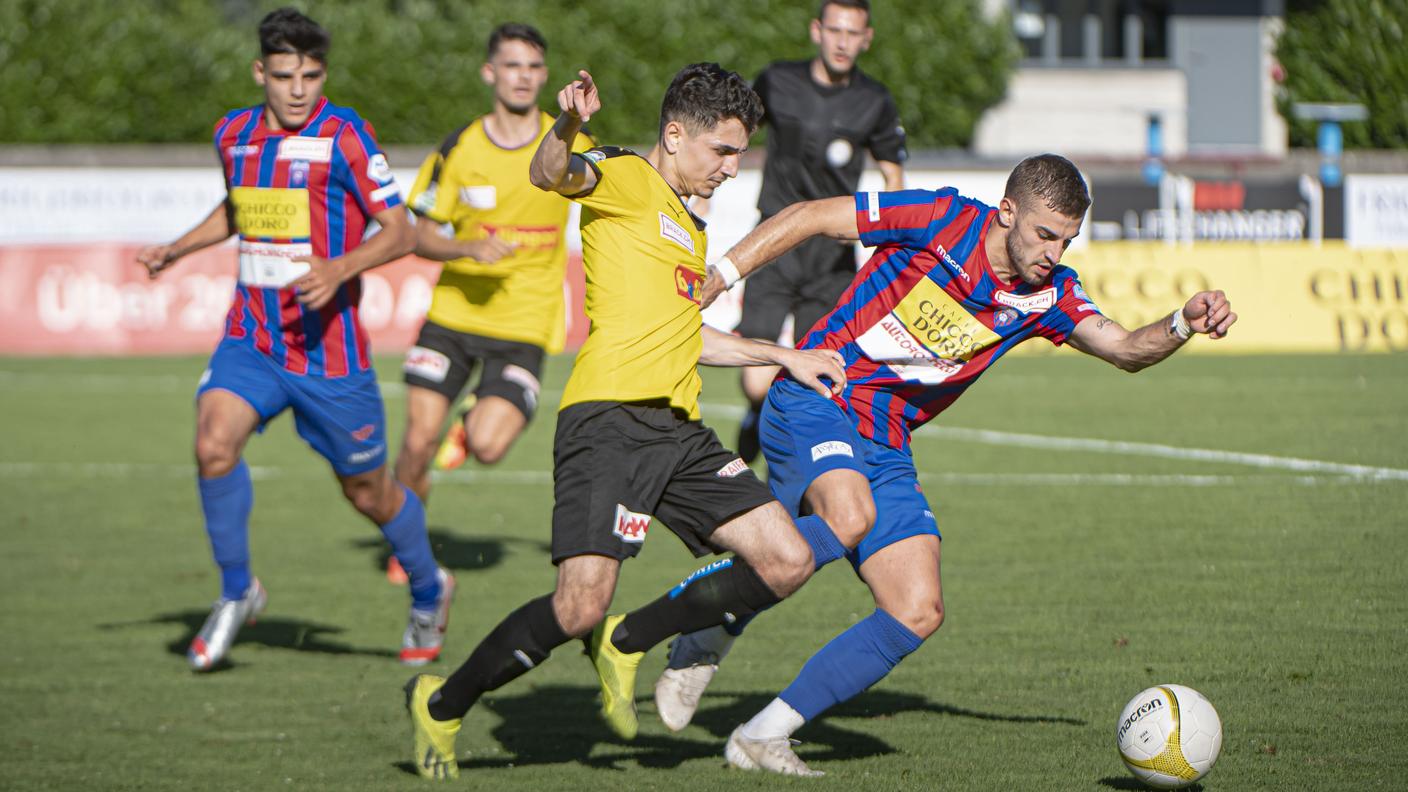 Hadzi in azione contro i gialloneri
