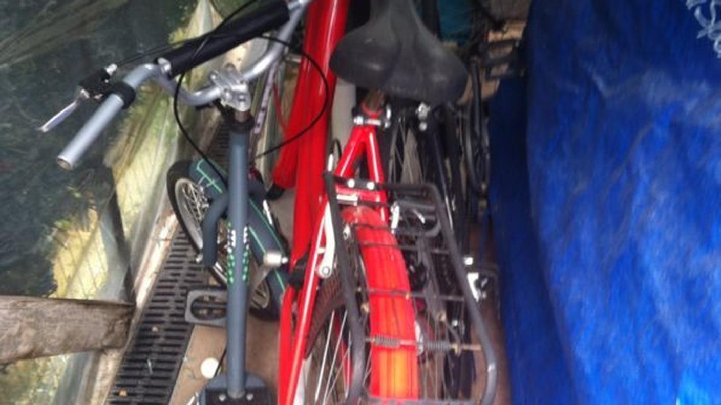 Bici o sardine?