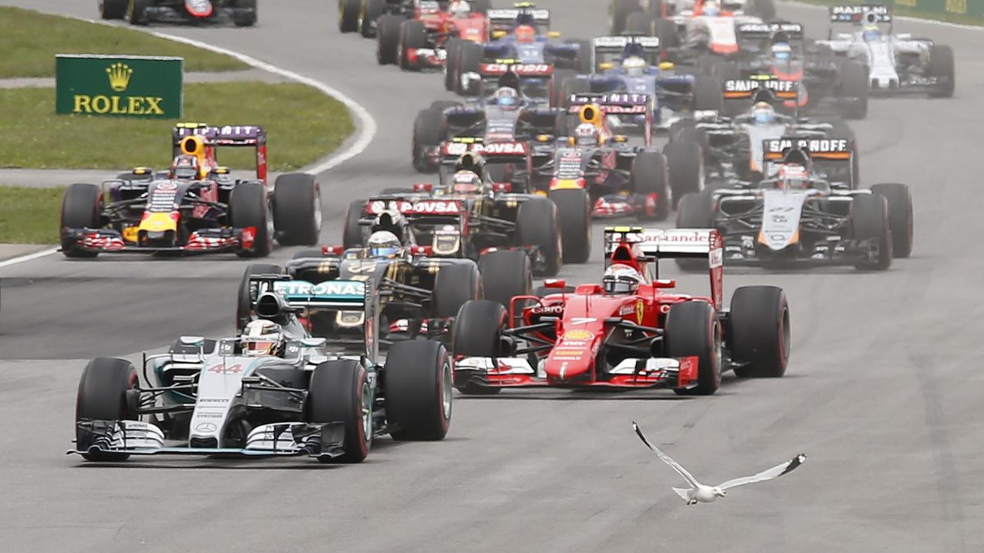 Un volatile in pista