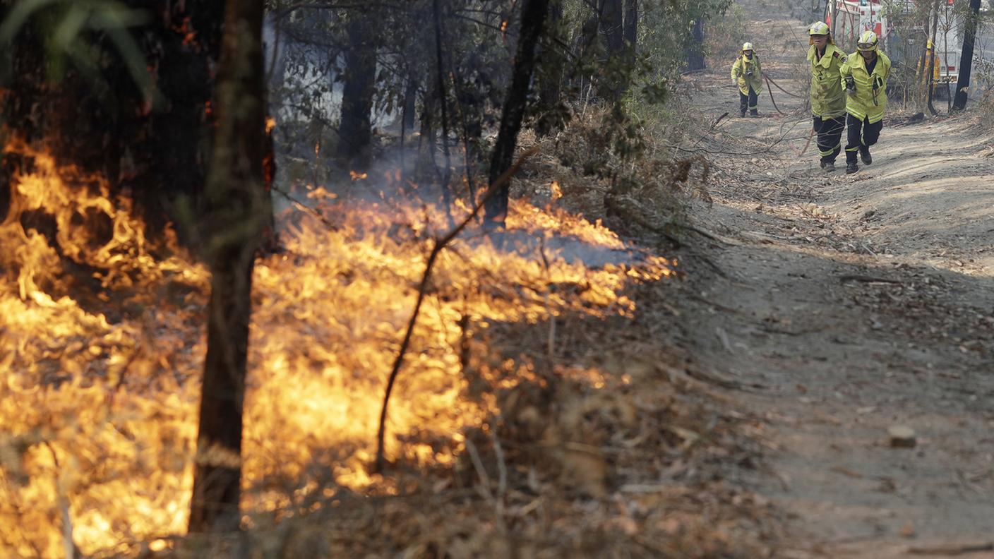 Vigili del fuoco al lavoro