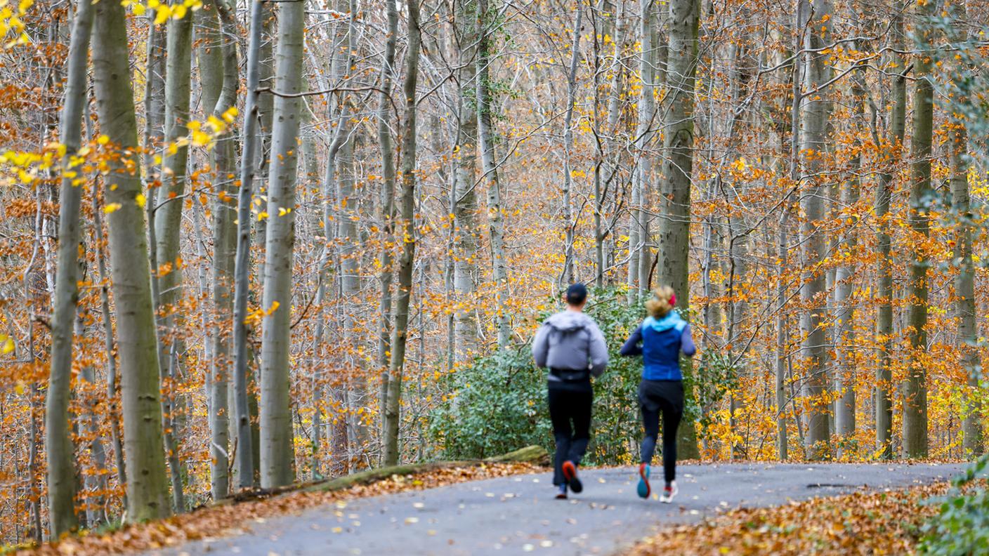 Jogging in autunno